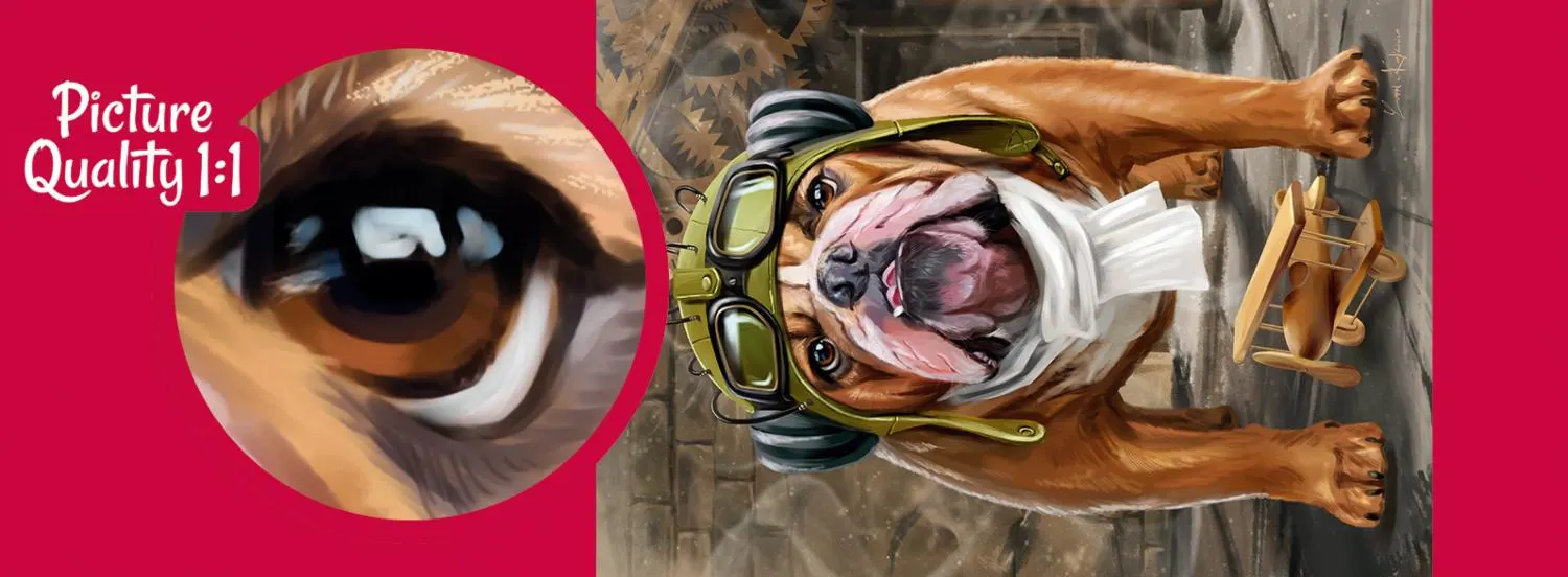 Bon voyage! Dogs