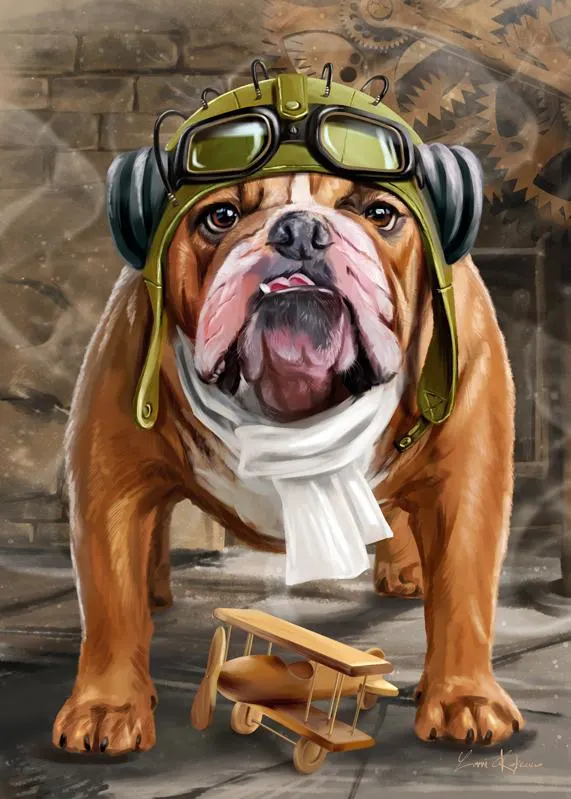 Bon voyage! Dogs