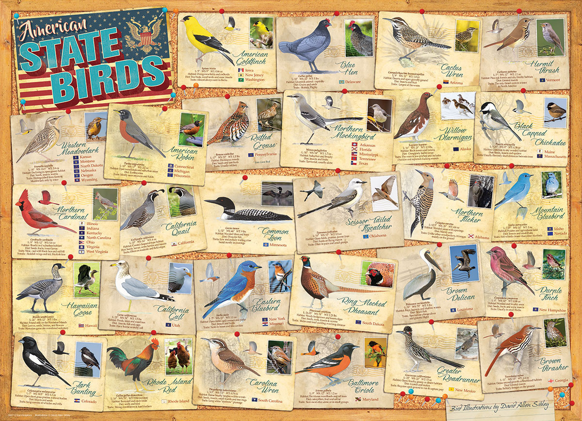 State Birds - Scratch and Dent Birds Jigsaw Puzzle