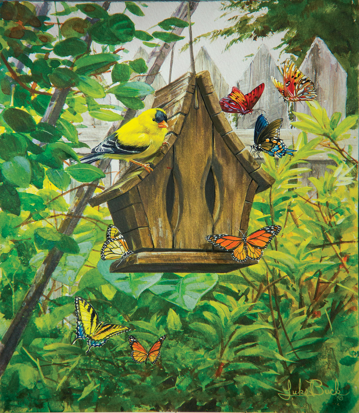 Songbird Collage Collage Jigsaw Puzzle By MasterPieces