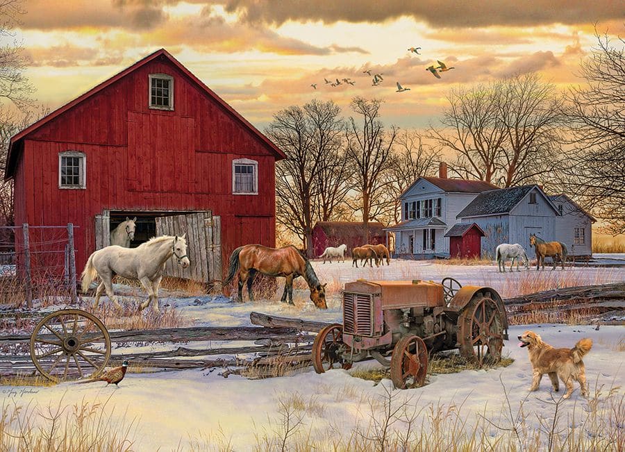 Winter on the Farm - Scratch and Dent Farm