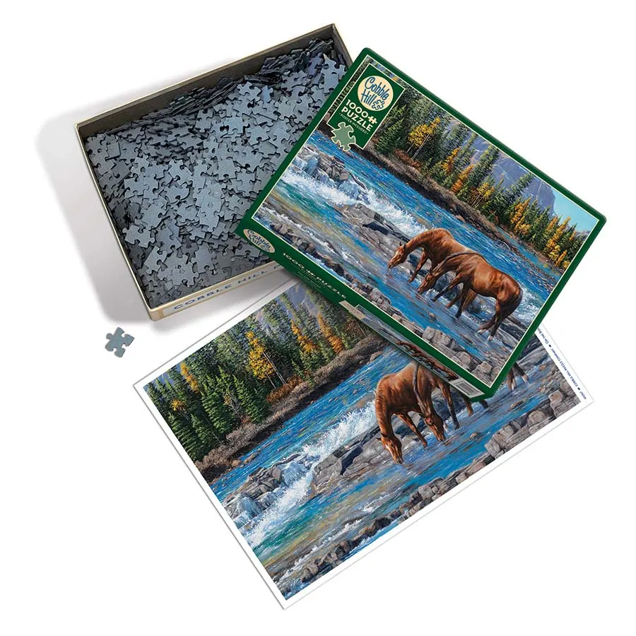 On the Rocks (horses) Horse