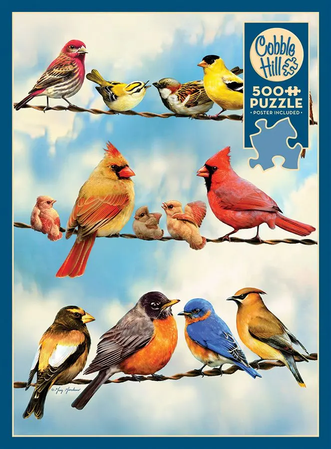 Birds on a Wire Birds