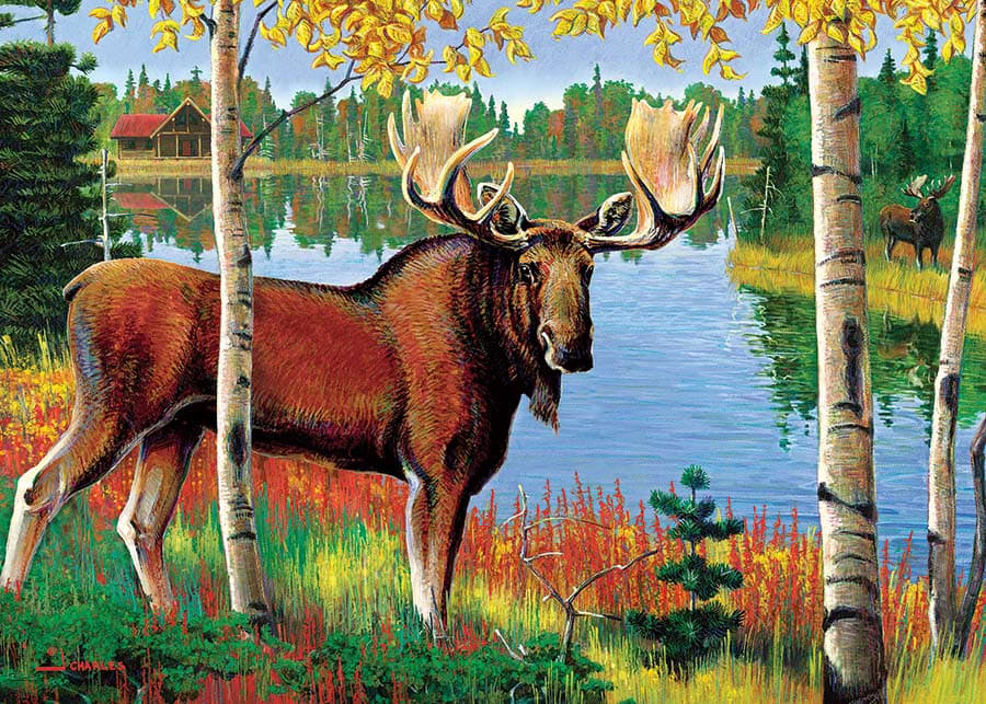 Moose Animals