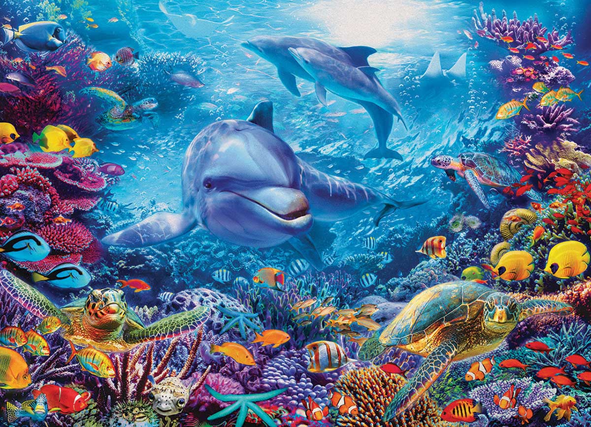 Swimming Lesson Dolphin Jigsaw Puzzle By SunsOut