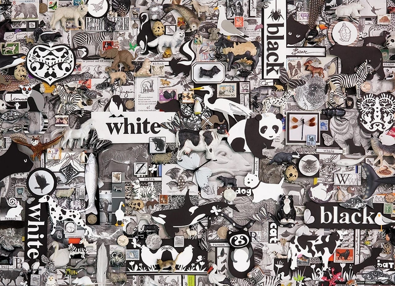 Black & White: Animals Animals