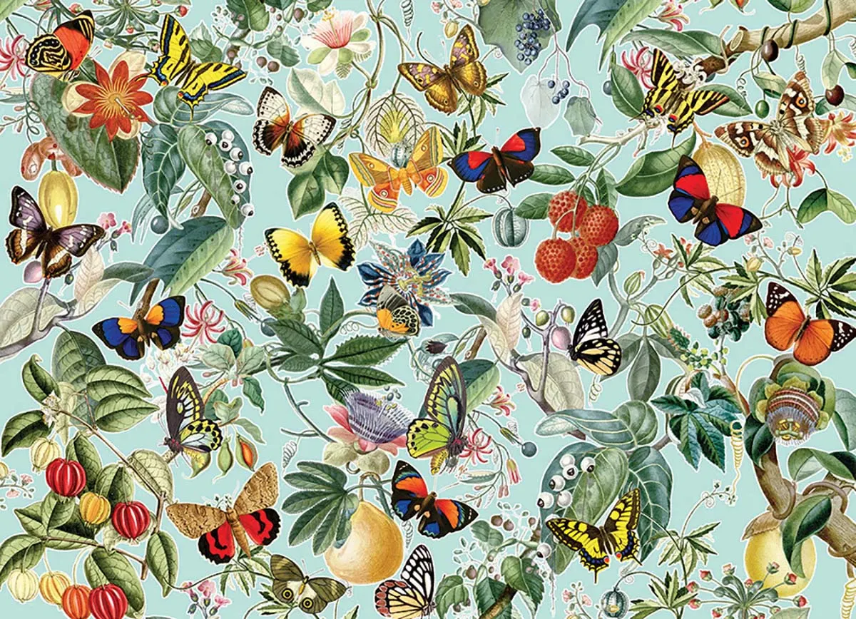 Fruit and Flutterbies Butterflies and Insects
