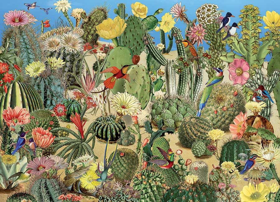 Cactus Garden Birds