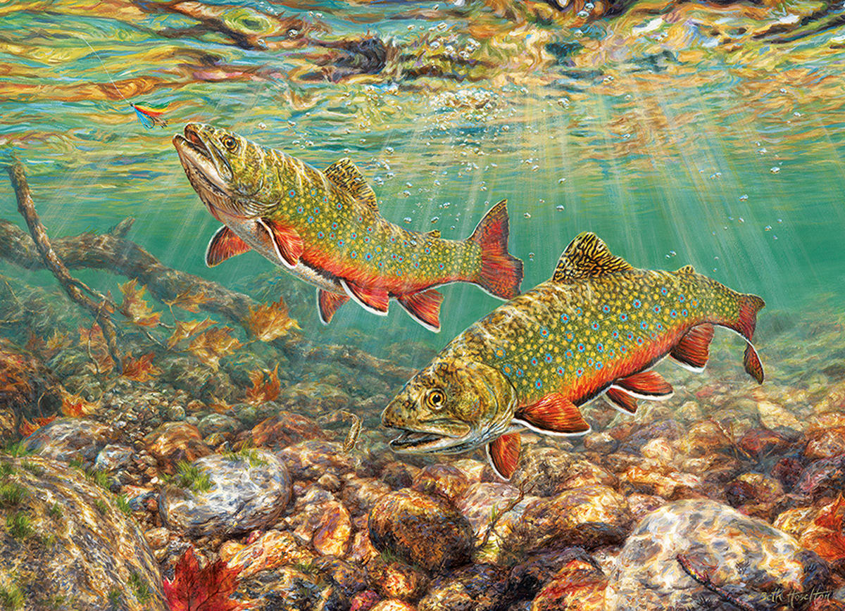 Brook Trout Fish