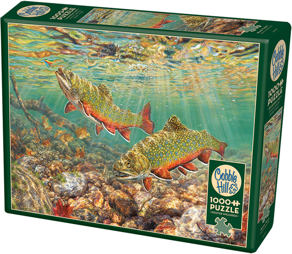 Brook Trout Fish