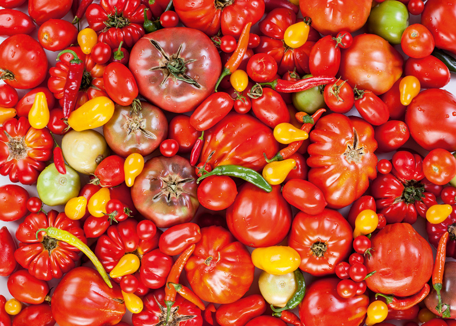 Tomatoes - Scratch and Dent Food and Drink Jigsaw Puzzle