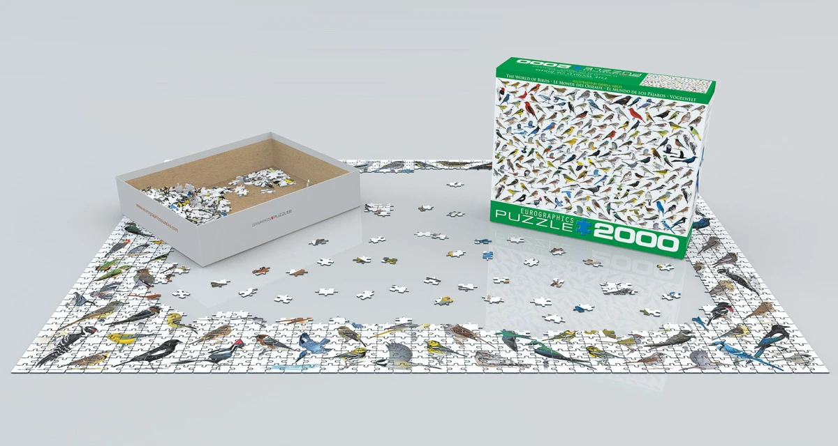 The World of Birds Birds