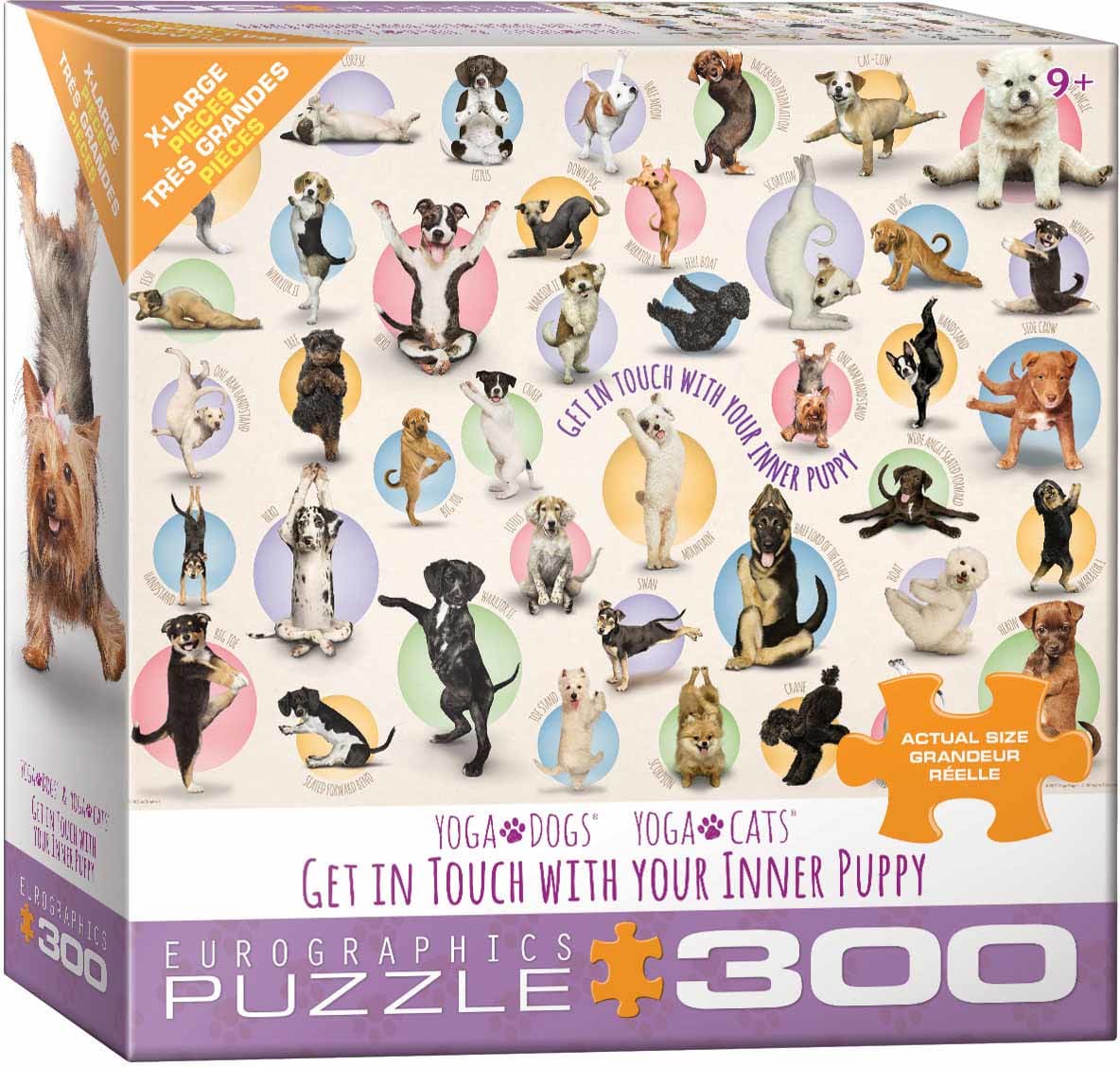Yoga Puppies Dogs