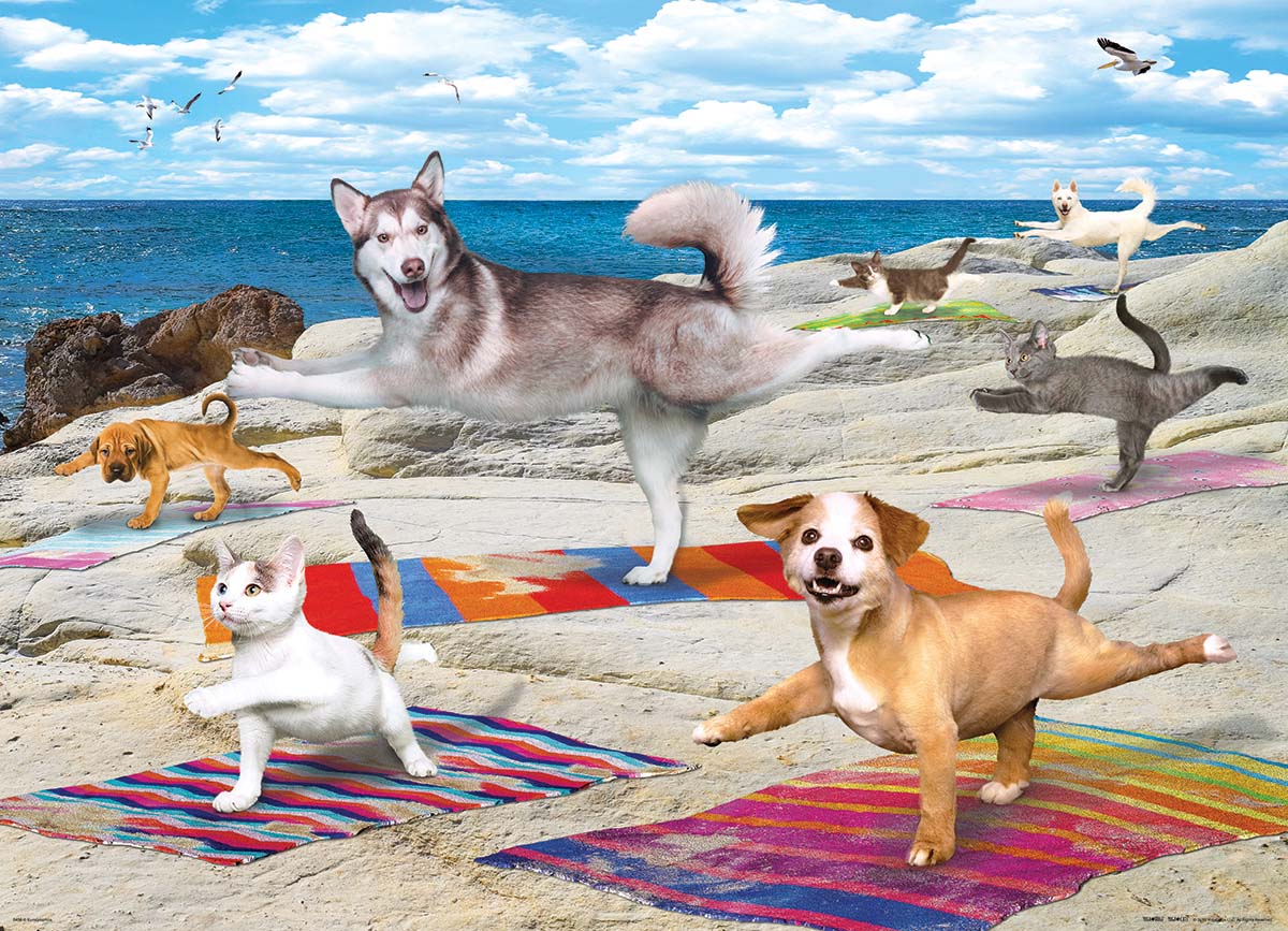 Yoga Beach - Scratch and Dent Cats Jigsaw Puzzle