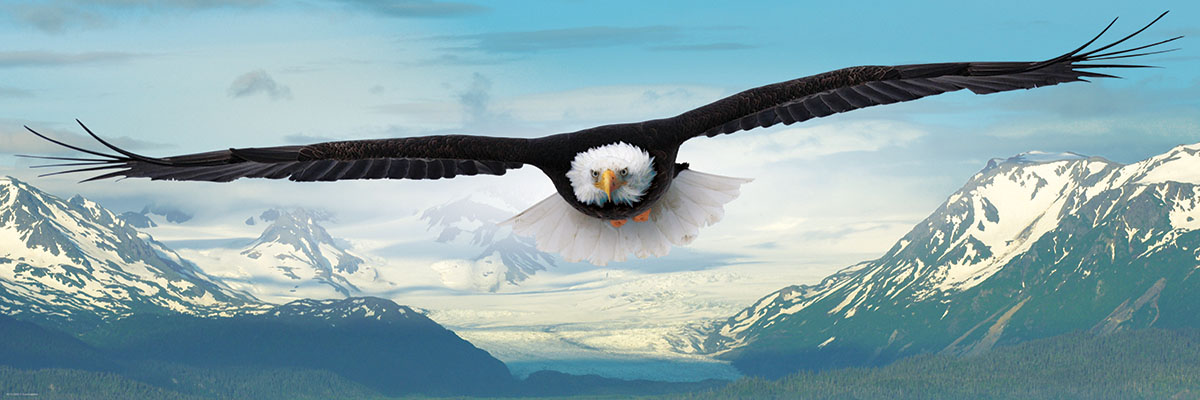 Eagle - Scratch and Dent Eagle Jigsaw Puzzle