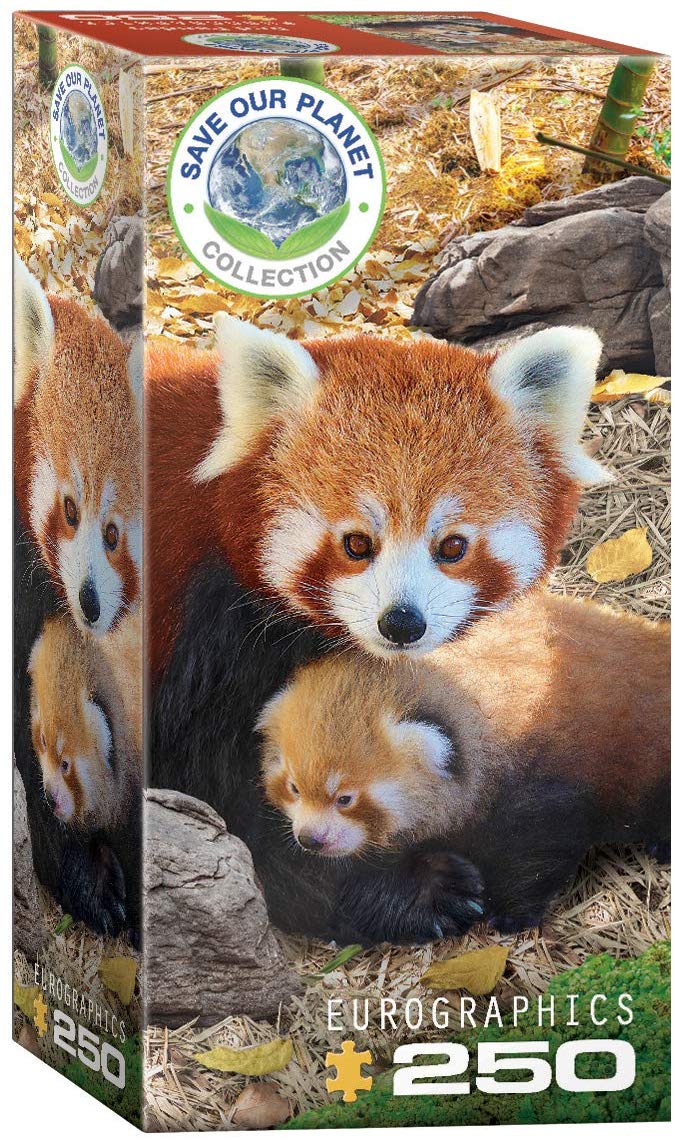 Red Panda - Scratch and Dent Animals Jigsaw Puzzle