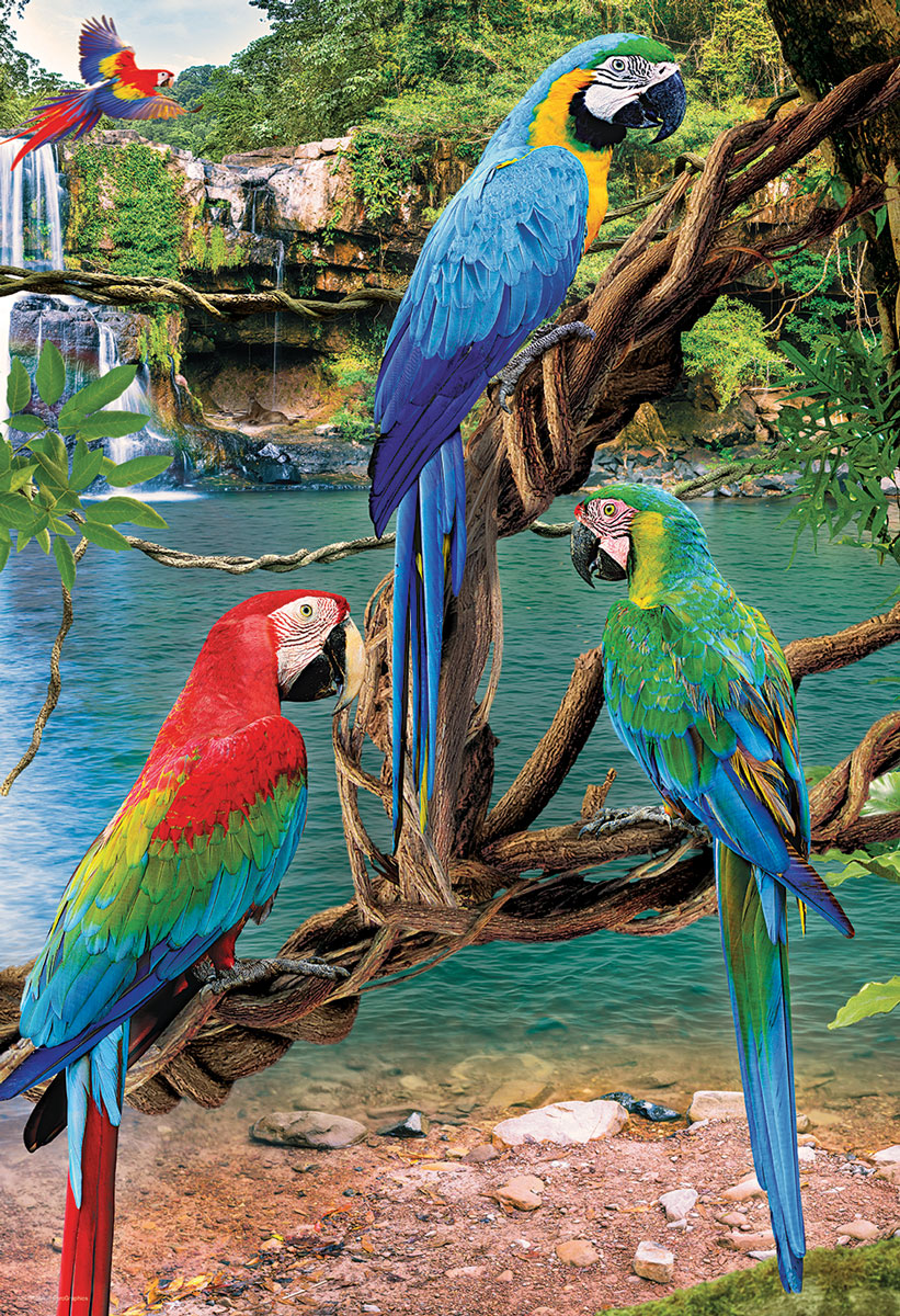 Macaws Birds Jigsaw Puzzle