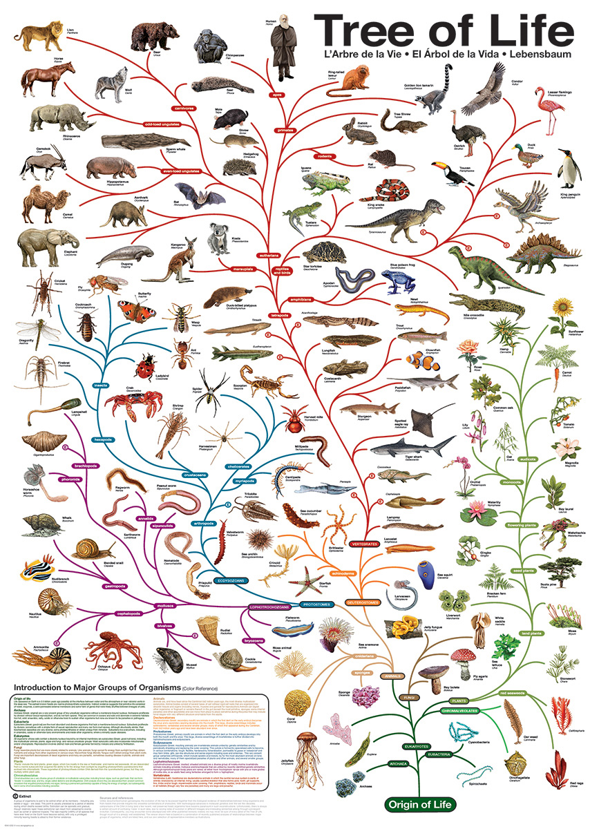The Tree of Life Animals Jigsaw Puzzle