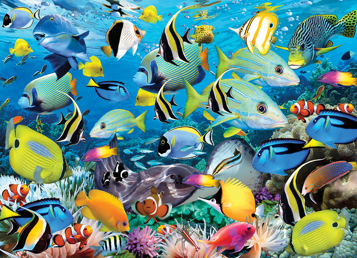 Ocean Colors - Scratch and Dent Sea Life Jigsaw Puzzle
