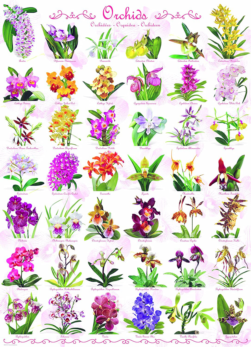 Summer Bouquet Flower & Garden Jigsaw Puzzle By eeBoo