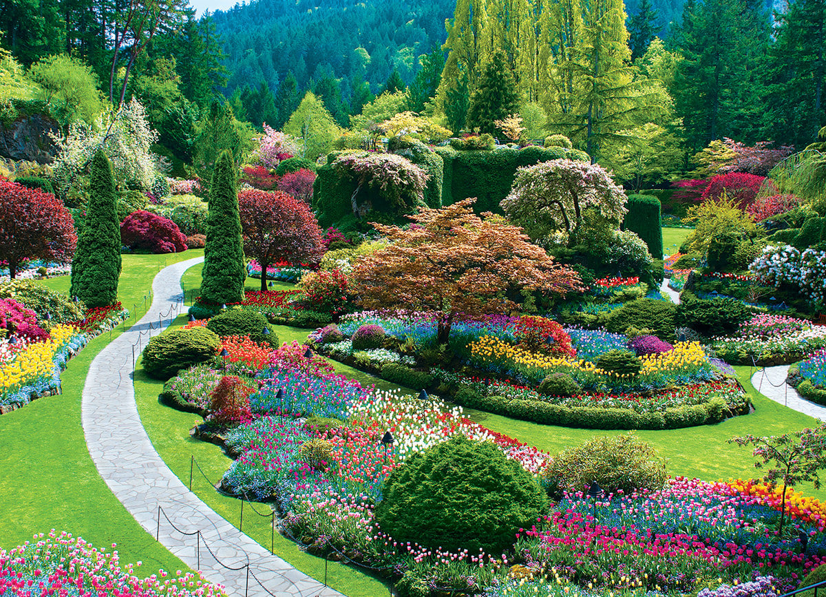 Sunken Garden (Butchart Gardens) Flower & Garden