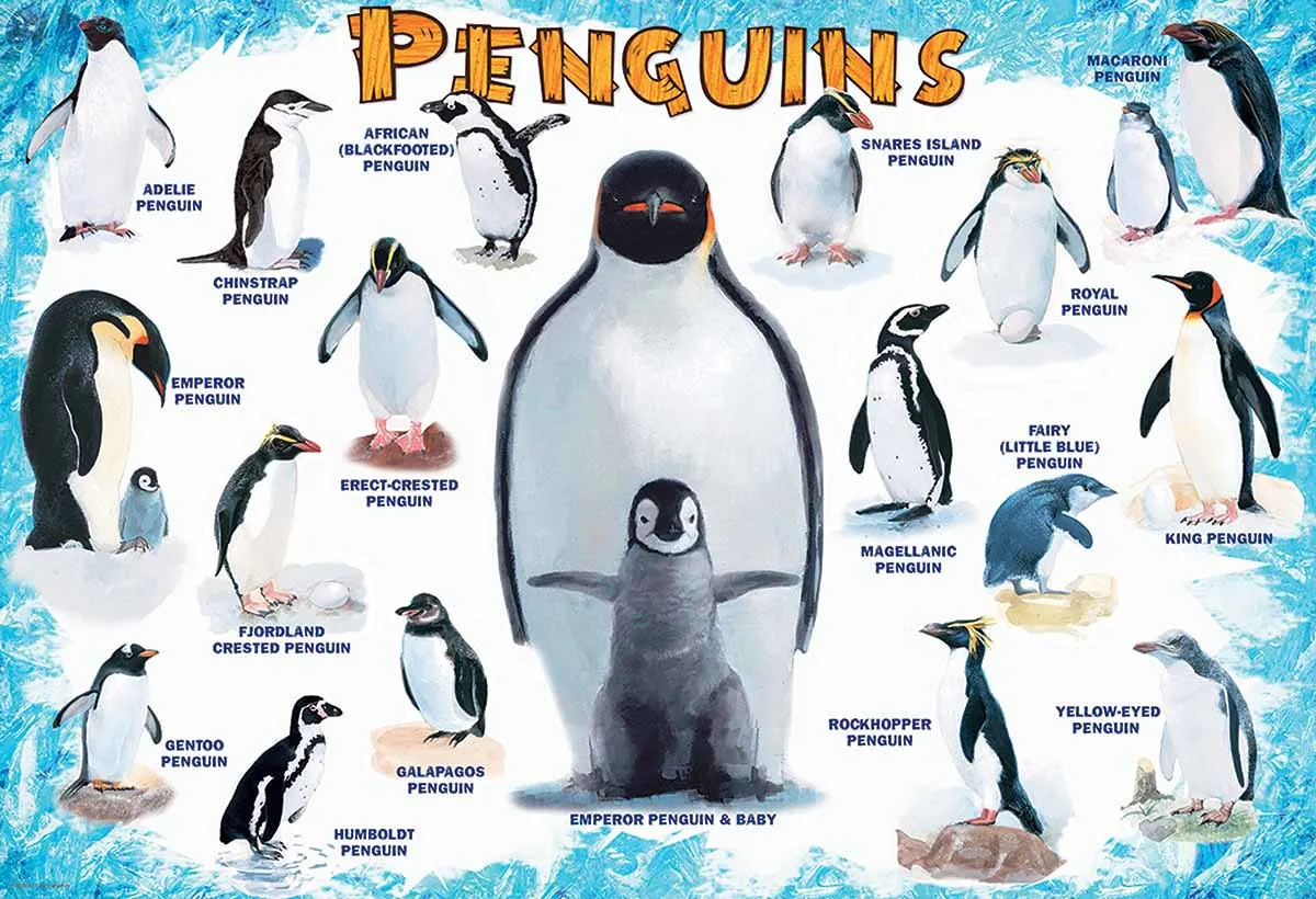 Penguins Birds