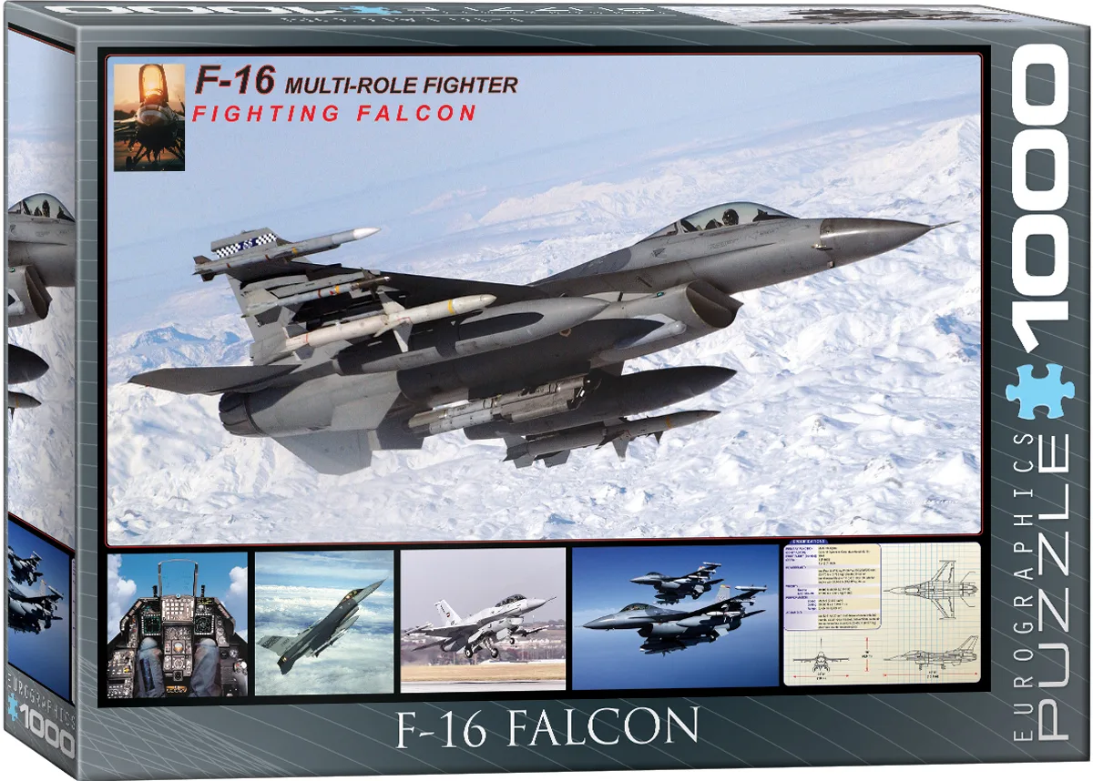 F-16 Fighting Falcon Plane