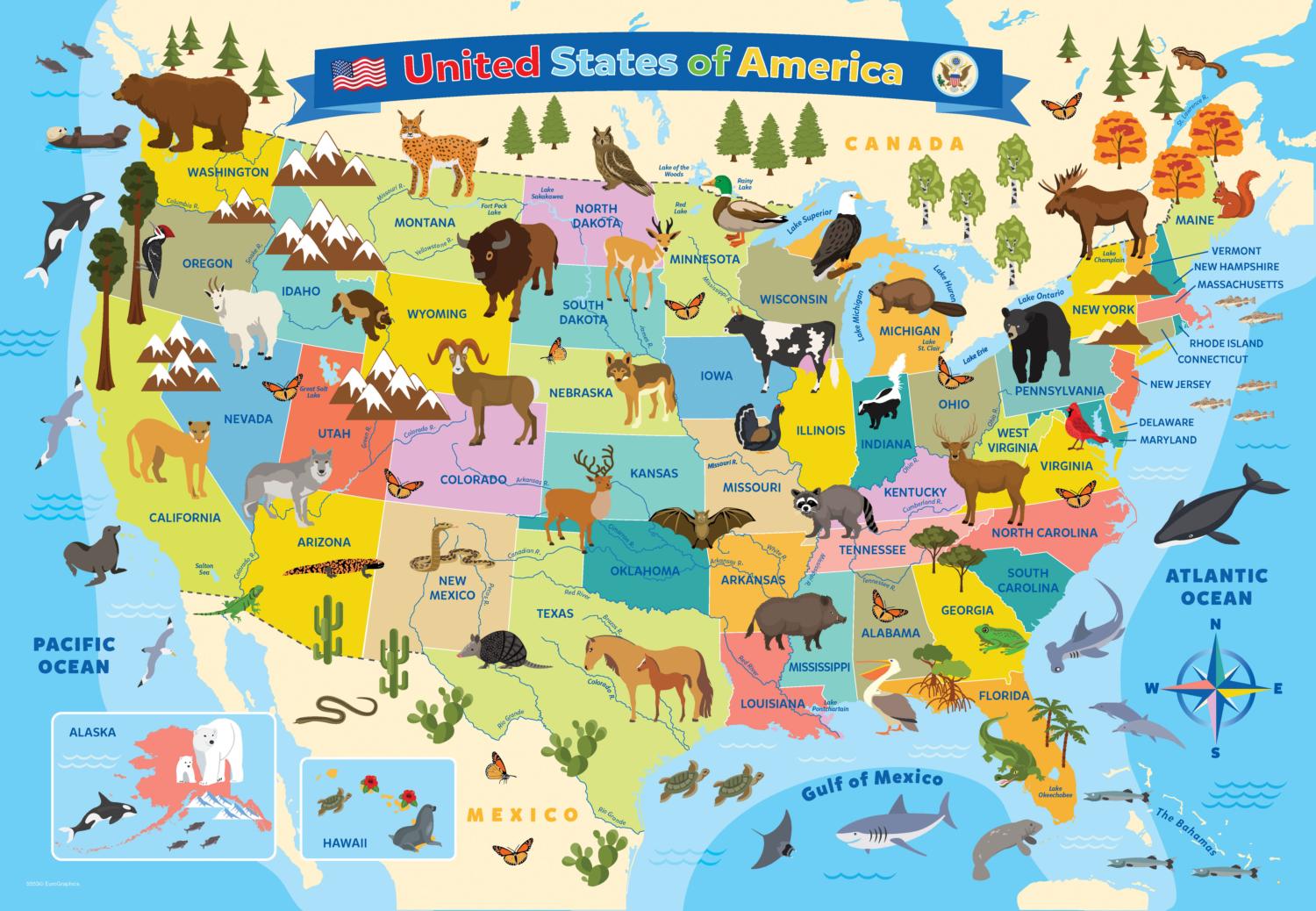 United States Map Illustrated, 100 Pieces, Eurographics | Puzzle Warehouse