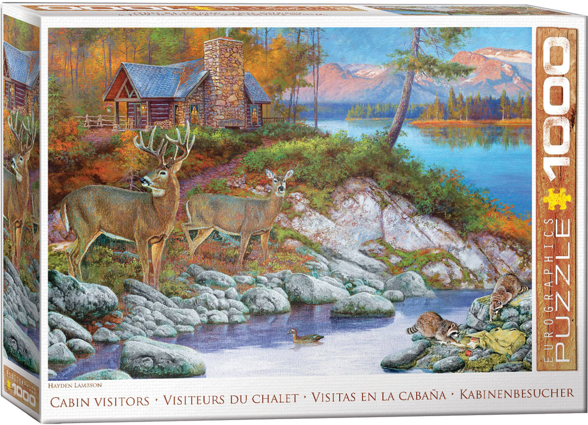 Cabin Visitors Forest Animal