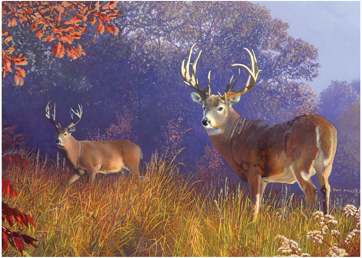 Deer Scene - Scratch and Dent Animals Jigsaw Puzzle