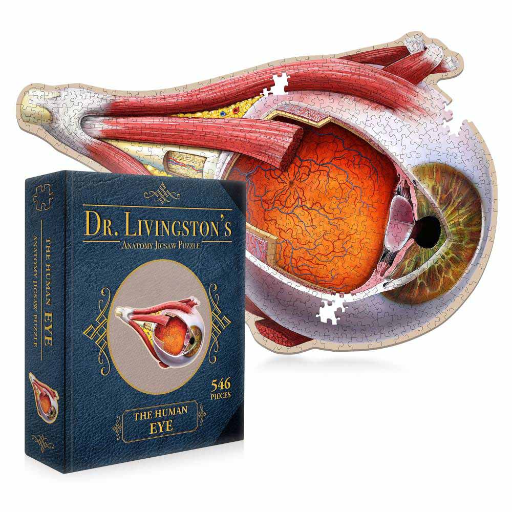 Dr. Livingston's Anatomy Jigsaw Puzzle: The Human Eye Educational Shaped Puzzle