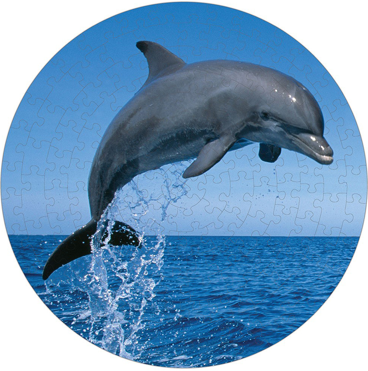 Bottlenose Dolphin Puzzle A•Round: Dolphin Jigsaw Puzzle