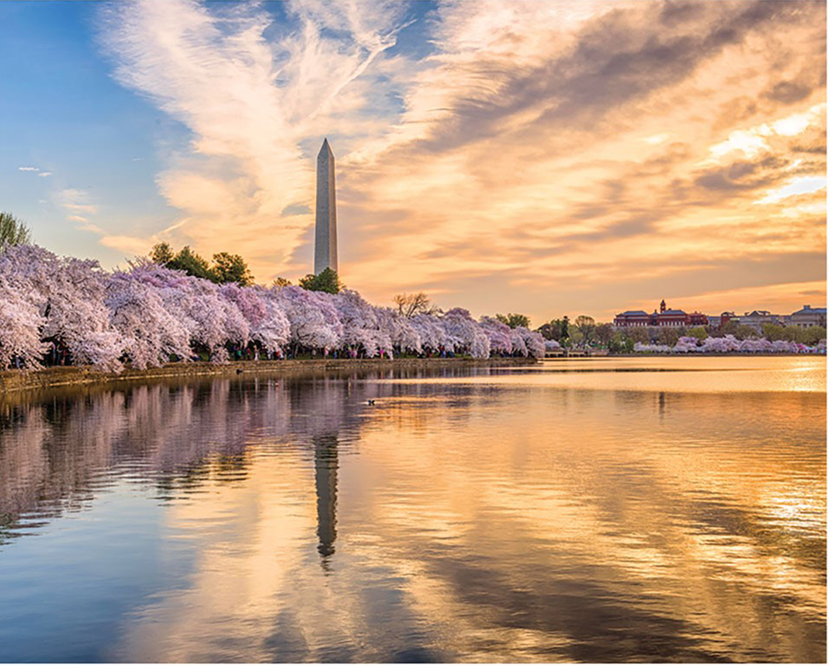 The Tidal Basin Landmarks & Monuments Jigsaw Puzzle