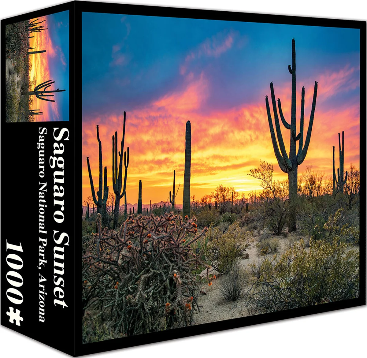 Saguaro Sunset - Scratch and Dent Landscape