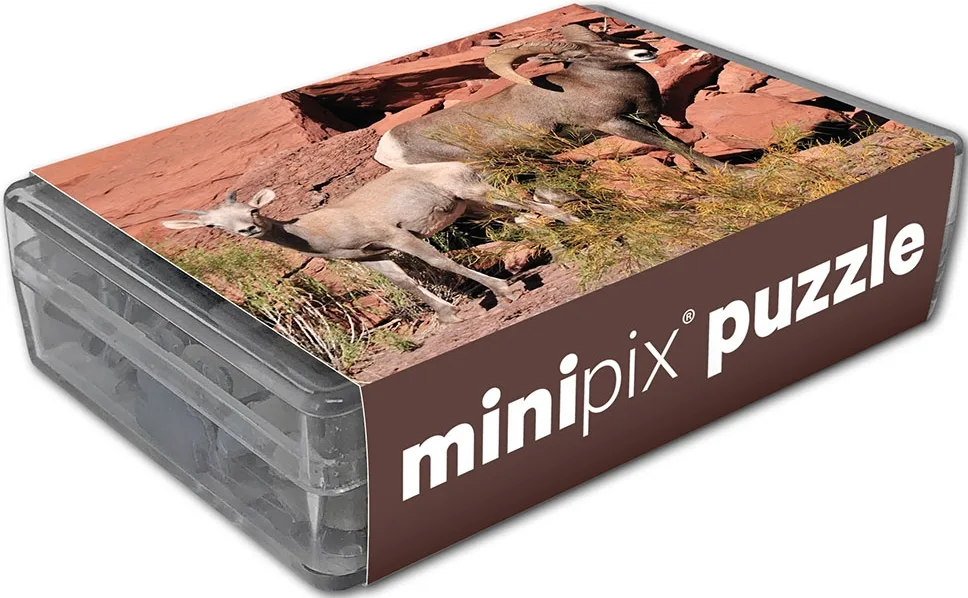 Desert Bighorn Sheep MiniPix® Puzzle Animals