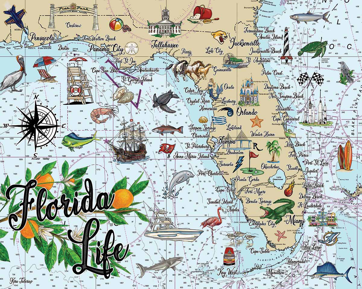 Florida Life Maps & Geography Jigsaw Puzzle