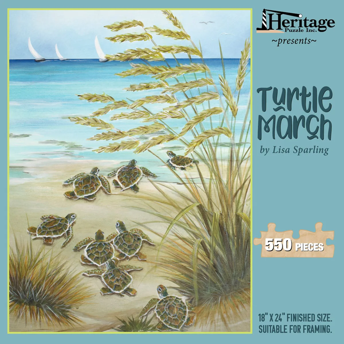 Turtle March - Scratch and Dent Reptile & Amphibian