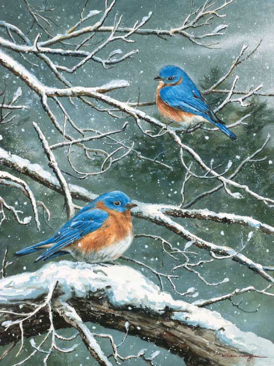 Jack & Frost - Scratch and Dent Birds Jigsaw Puzzle