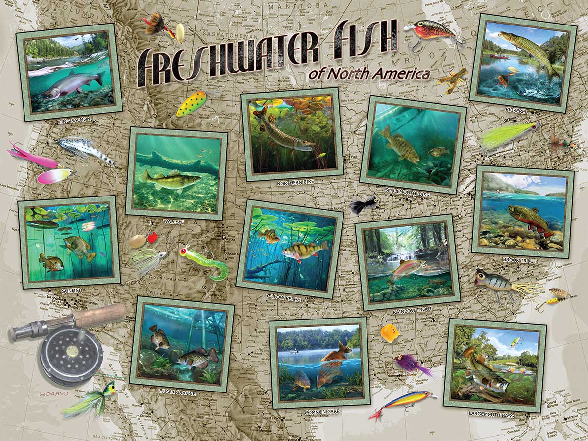 Freshwater Fish of North America - Scratch and Dent Fish Jigsaw Puzzle