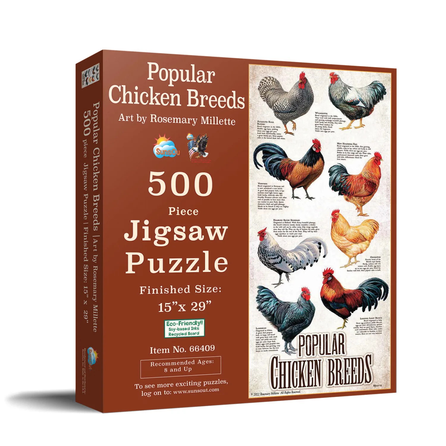 Popular Chicken Breeds Birds