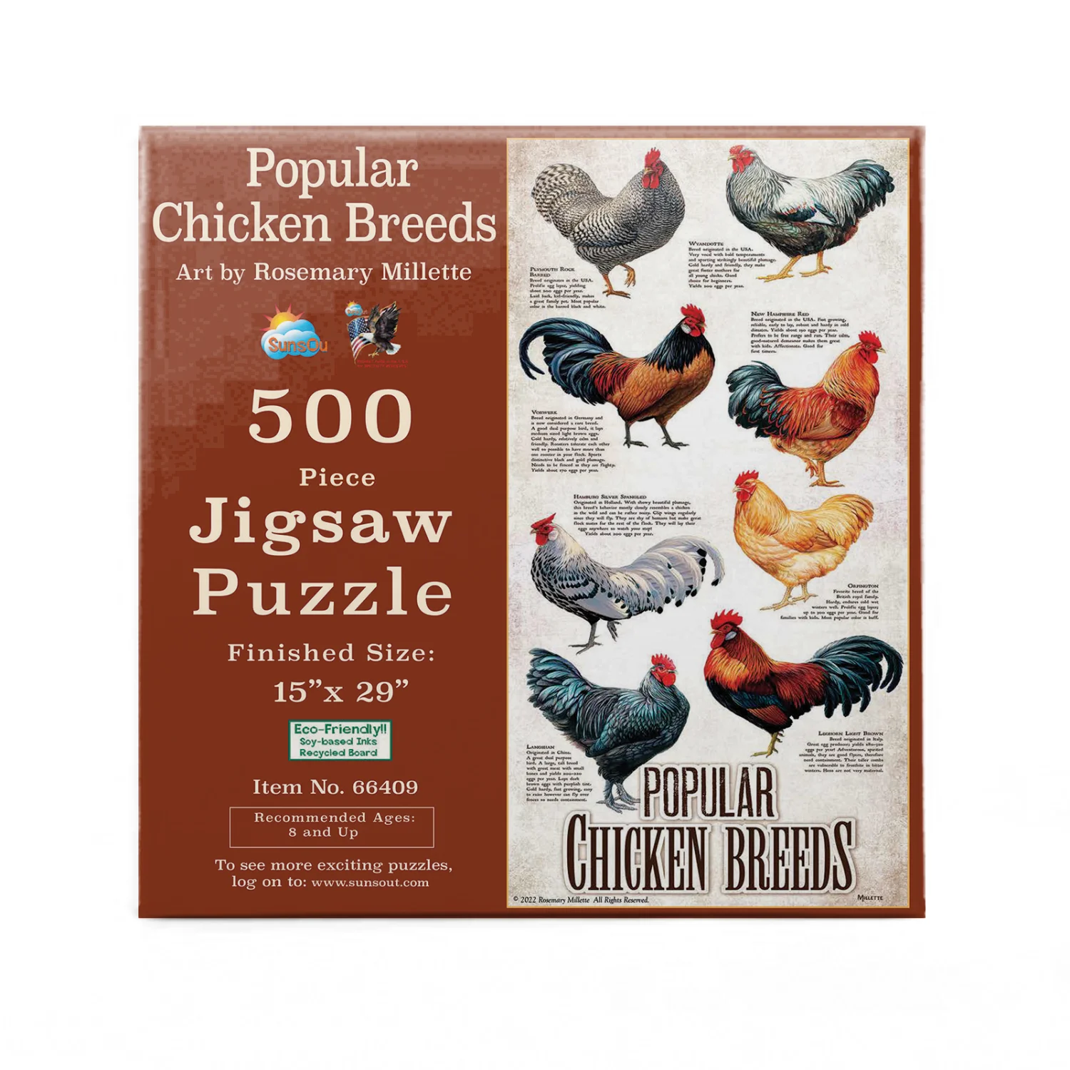 Popular Chicken Breeds Birds