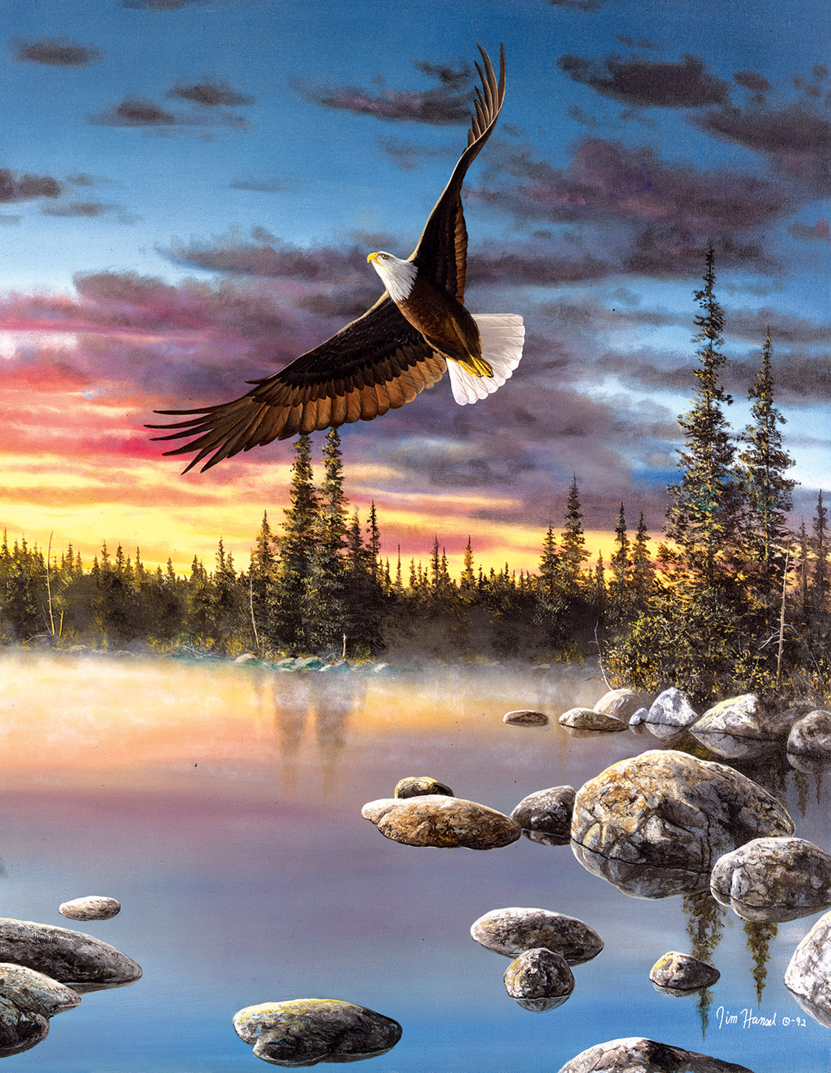 Eagle Medicine Cultural Art Jigsaw Puzzle By Indigenous Collection