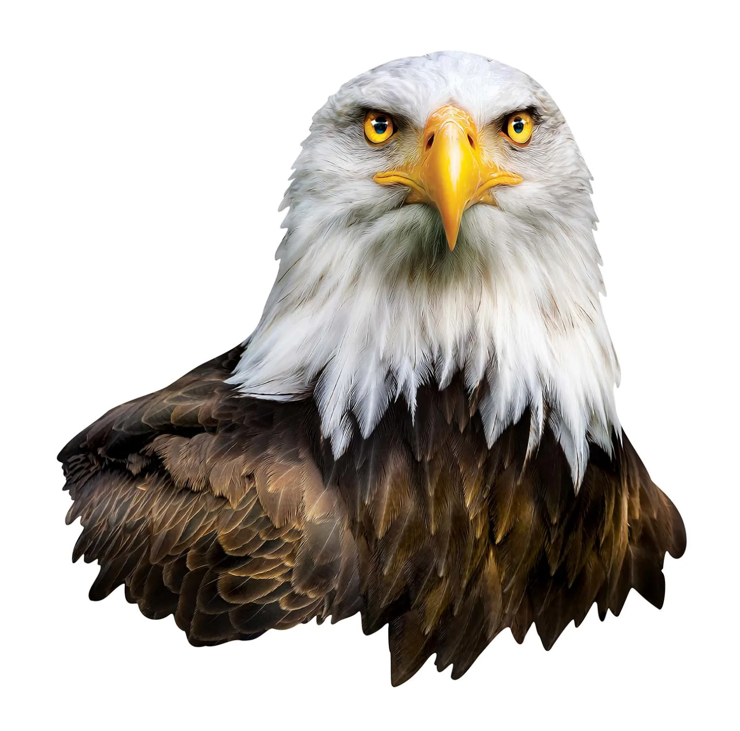 Eagle Birds