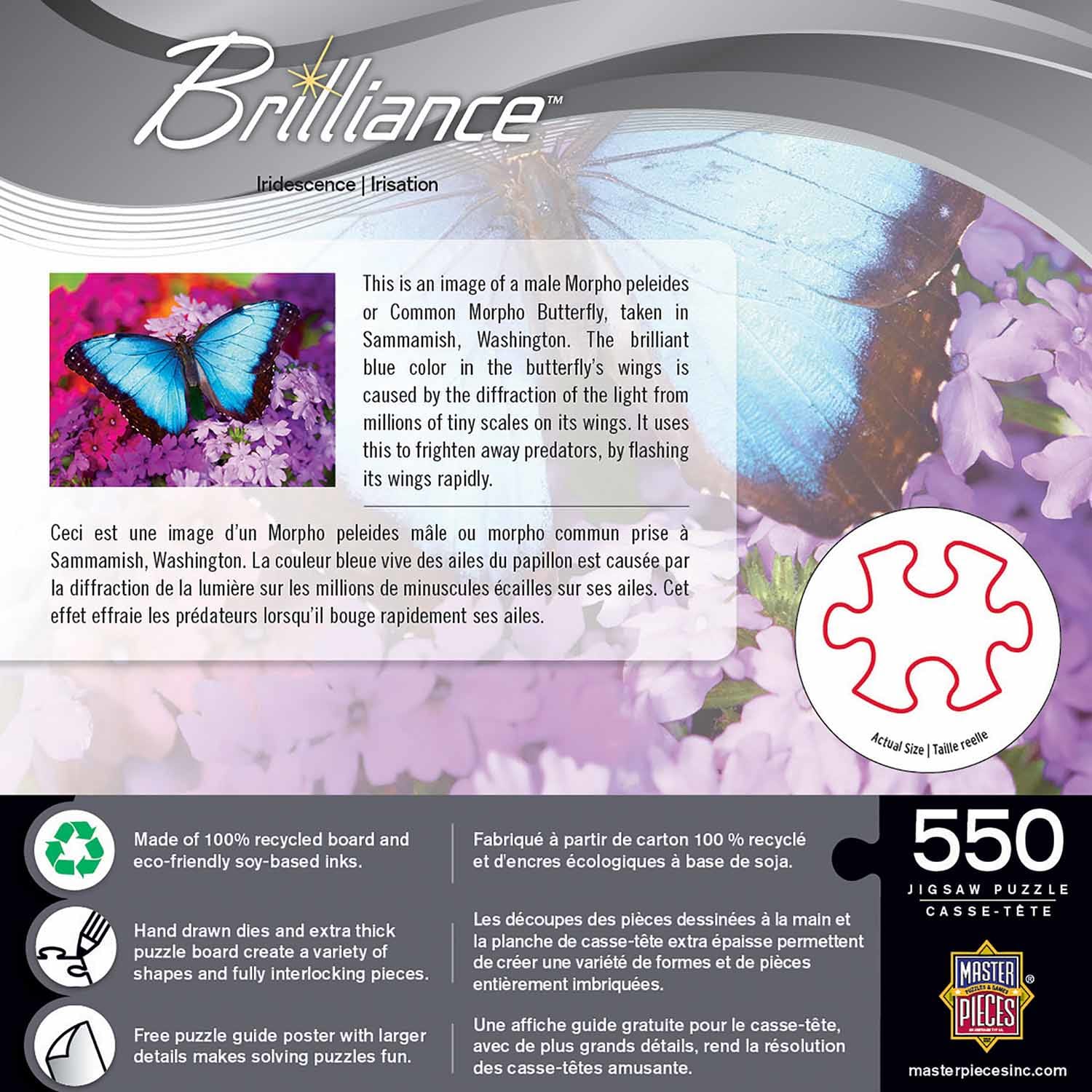 Iridescence Butterflies and Insects