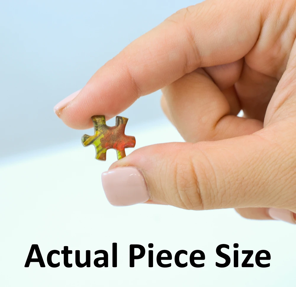 World‘s Smallest Rainbow Flow Mini Puzzle Fish