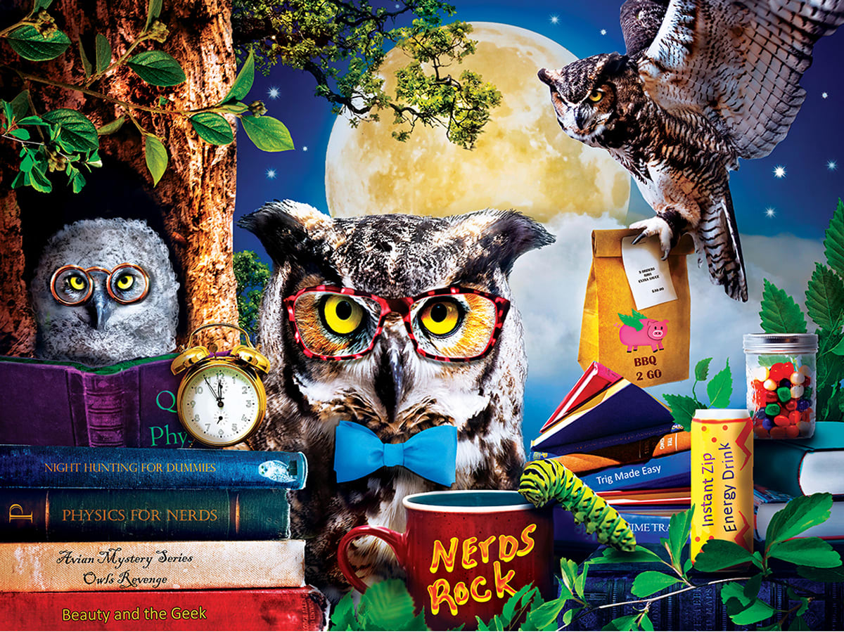 Night Owls Study Group Birds