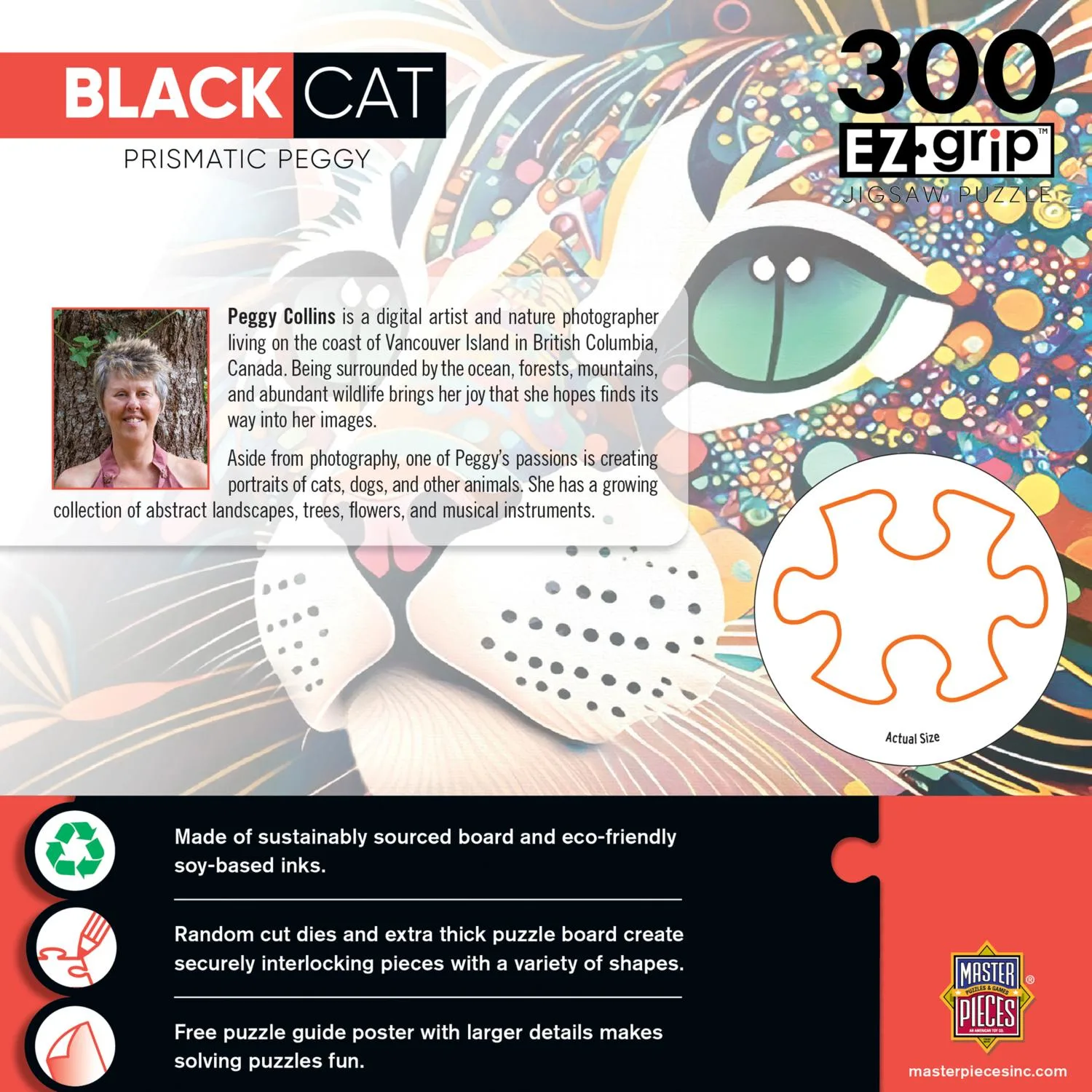 Black Cats - Prismatic Peggy - Scratch and Dent Cats