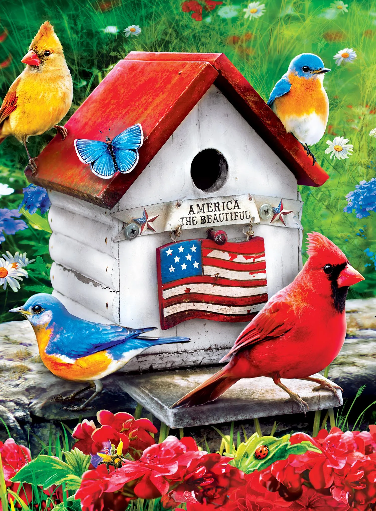 3 Pack - Audubon  Birds