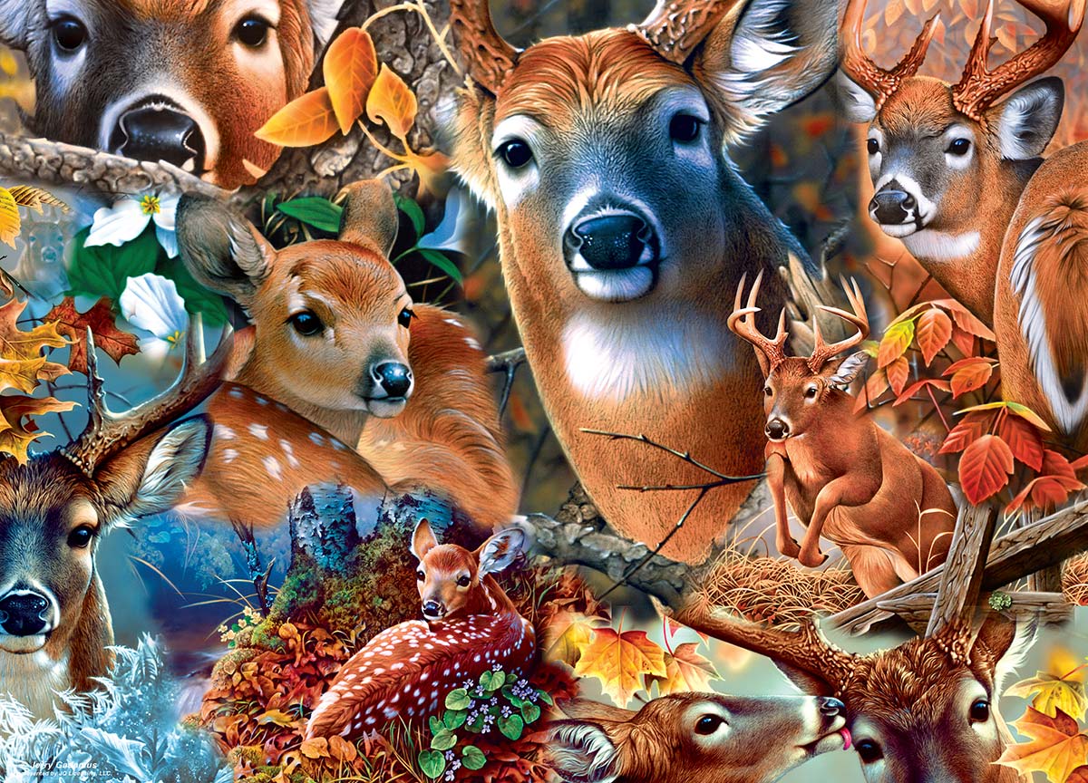 Forest Beauties - Scratch and Dent Animals Jigsaw Puzzle
