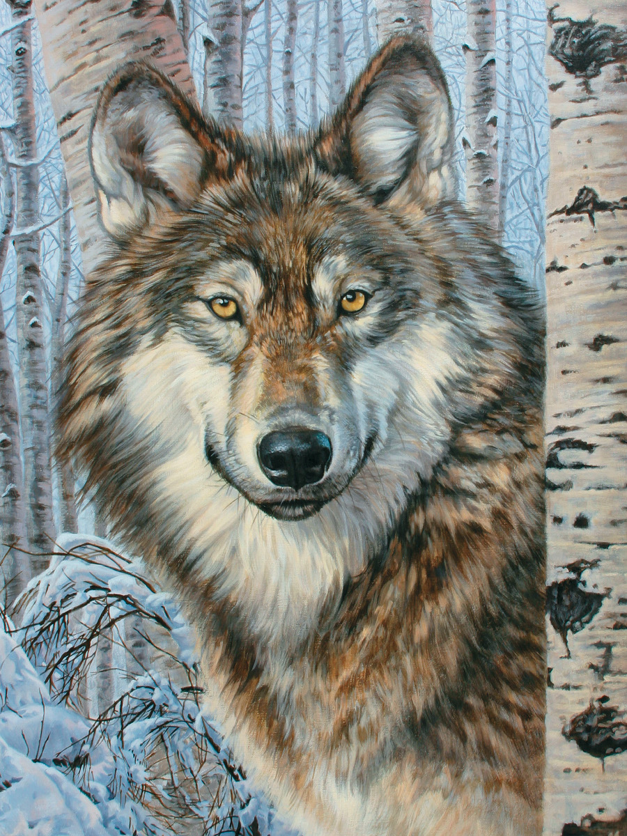 Time Out Wolf Jigsaw Puzzle By SunsOut